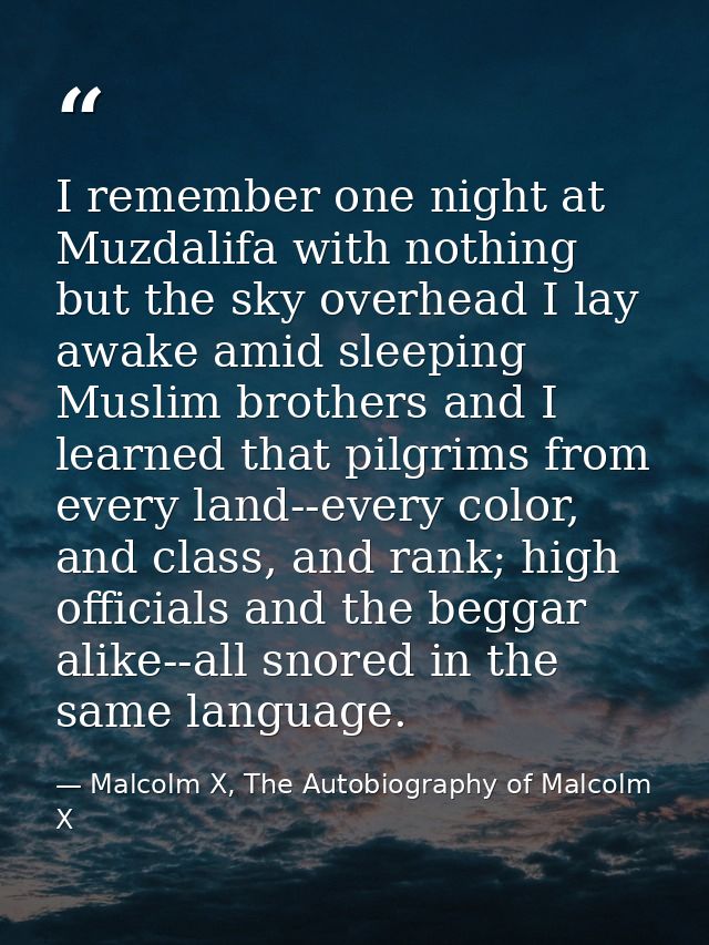 I remember one night at Muzdalifa with nothing but the sky overhead I lay awake amid sleeping Muslim brothers and I lear — Malcolm X, The Autobiography of Malcolm X
