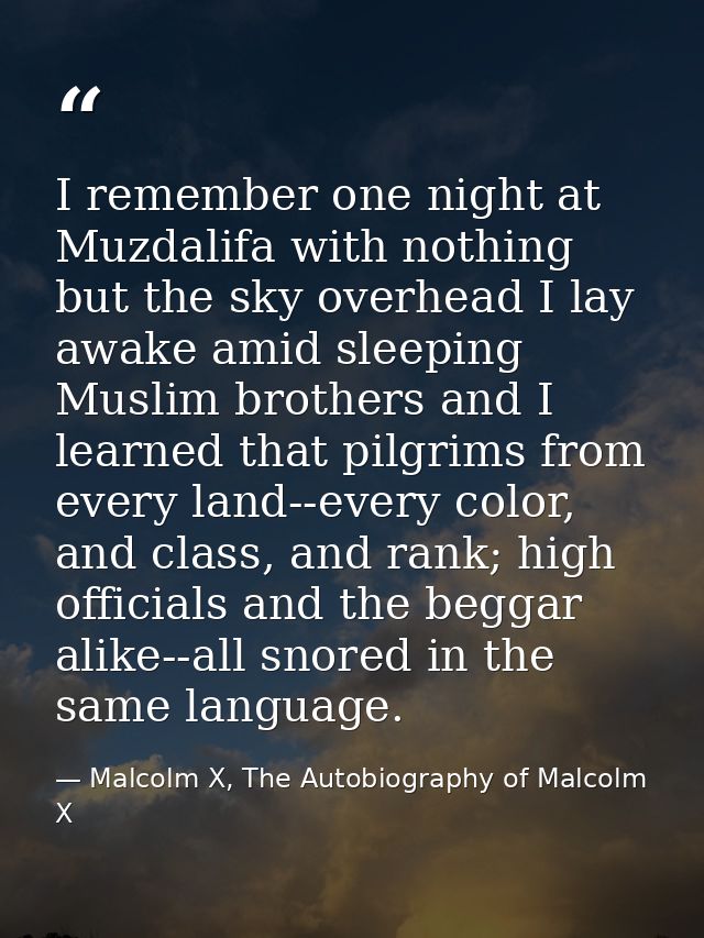 I remember one night at Muzdalifa with nothing but the sky overhead I lay awake amid sleeping Muslim brothers and I lear — Malcolm X, The Autobiography of Malcolm X