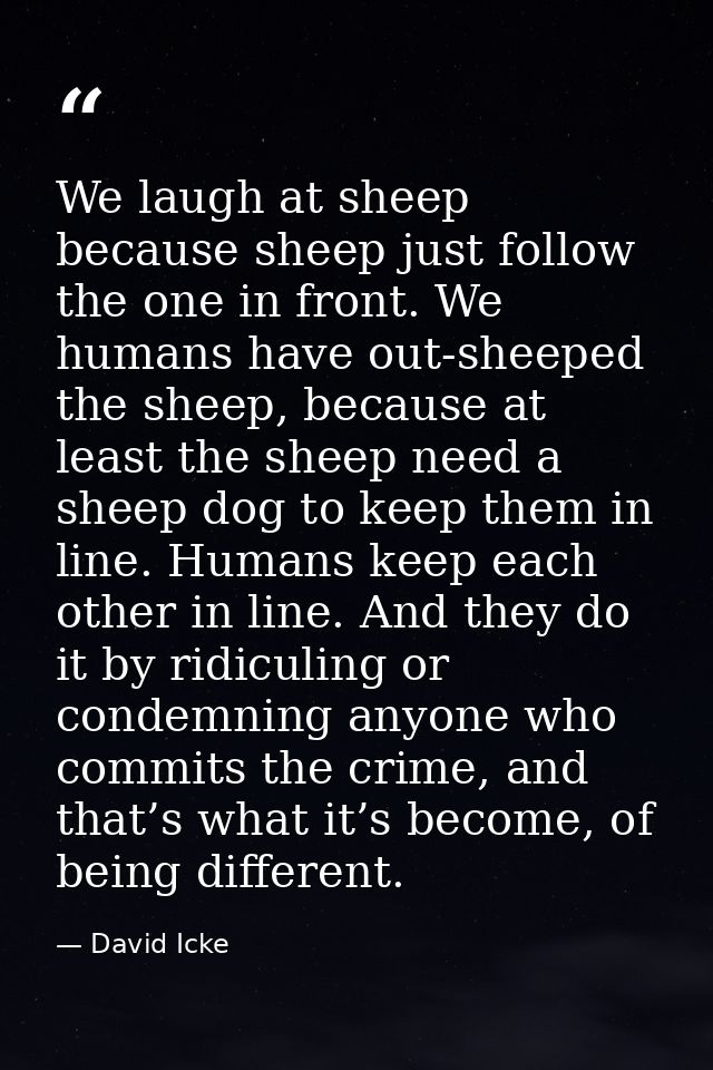 We laugh at sheep because sheep just follow the one in front. We humans have out-sheeped the sheep, because at least the — David Icke