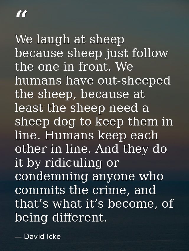 We laugh at sheep because sheep just follow the one in front. We humans have out-sheeped the sheep, because at least the — David Icke