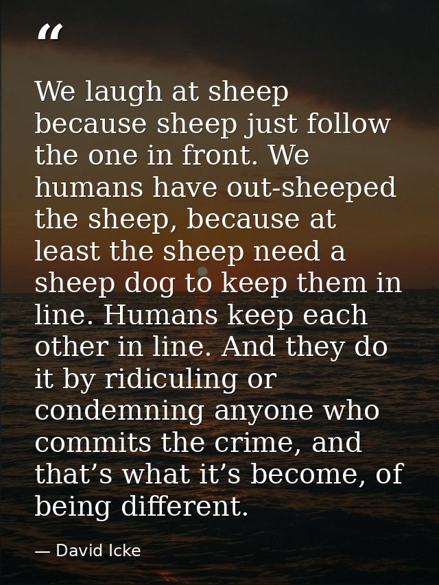 We laugh at sheep because sheep just follow the one in front. We humans have out-sheeped the sheep, because at least the — David Icke