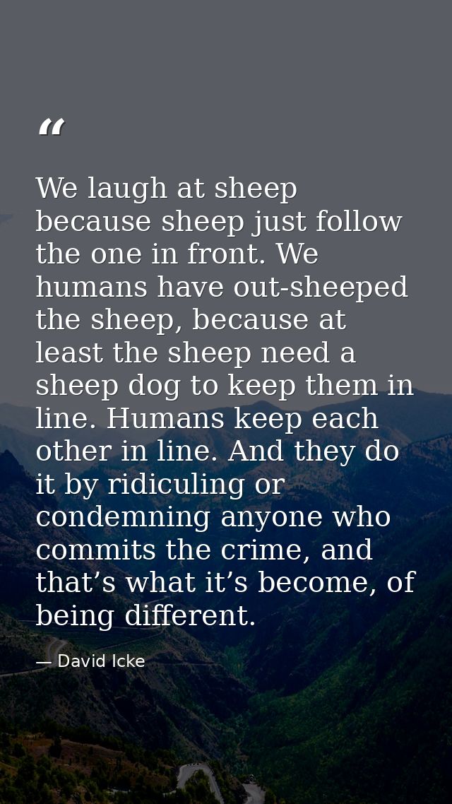 We laugh at sheep because sheep just follow the one in front. We humans have out-sheeped the sheep, because at least the — David Icke