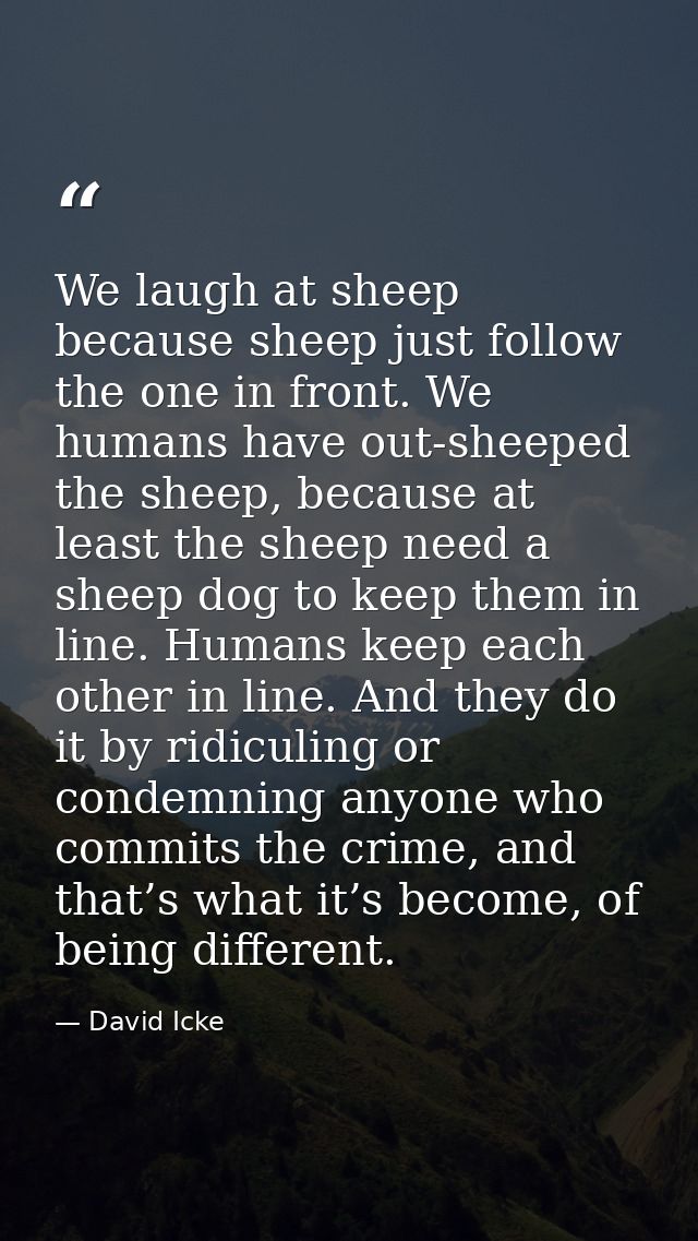 We laugh at sheep because sheep just follow the one in front. We humans have out-sheeped the sheep, because at least the — David Icke