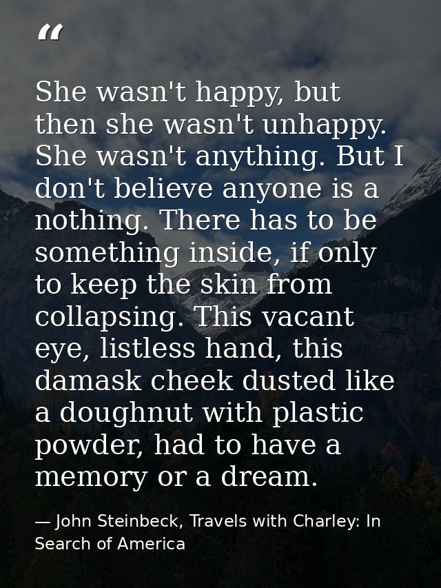 She wasn't happy, but then she wasn't unhappy. She wasn't anything. But I don't believe anyone is a nothing. There has t — John Steinbeck, Travels with Charley: In Search of America