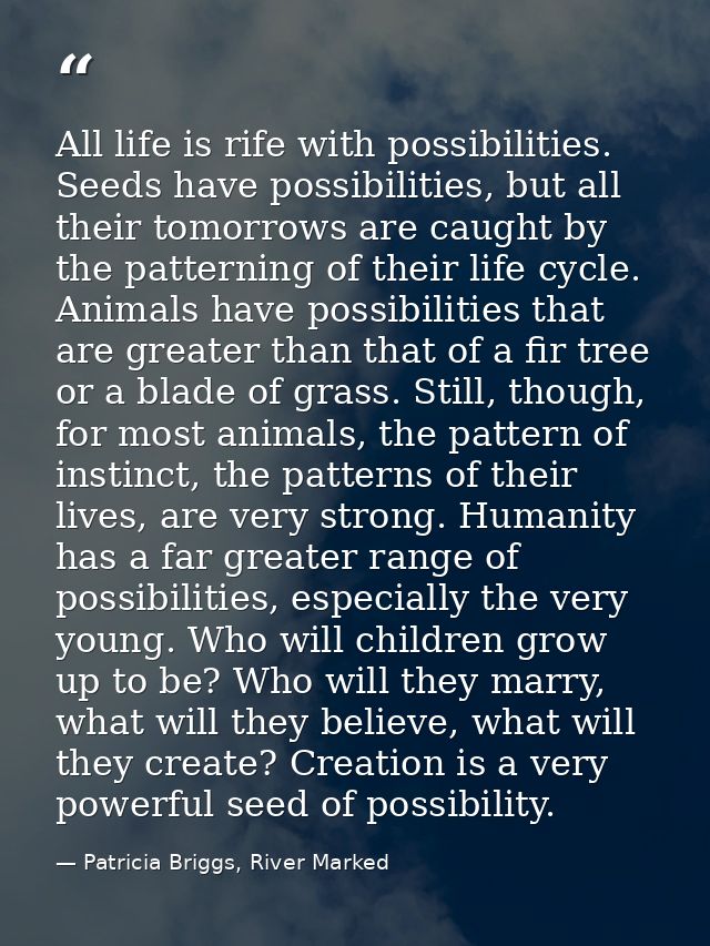 All life is rife with possibilities. Seeds have possibilities, but all their tomorrows are caught by the patterning of t — Patricia Briggs, River Marked