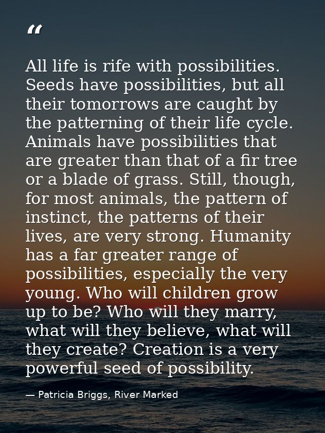 All life is rife with possibilities. Seeds have possibilities, but all their tomorrows are caught by the patterning of t — Patricia Briggs, River Marked