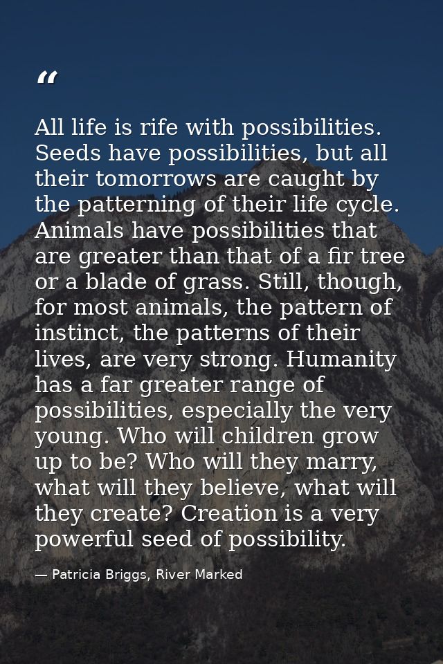 All life is rife with possibilities. Seeds have possibilities, but all their tomorrows are caught by the patterning of t — Patricia Briggs, River Marked