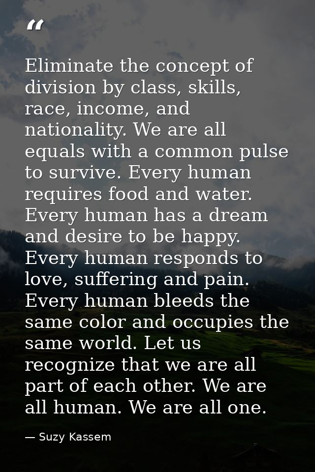 Eliminate the concept of division by class, skills, race, income, and nationality. We are all equals with a common pulse — Suzy Kassem