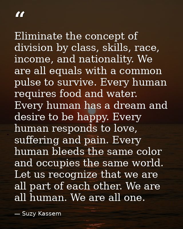 Eliminate the concept of division by class, skills, race, income, and nationality. We are all equals with a common pulse — Suzy Kassem