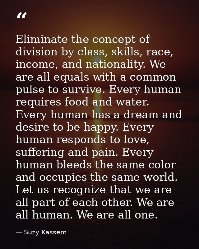 Eliminate the concept of division by class, skills, race, income, and nationality. We are all equals with a common pulse — Suzy Kassem