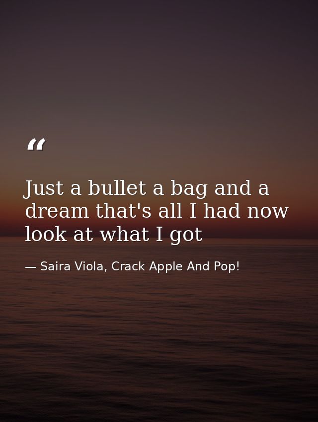 Just a bullet a bag and a dream that's all I had now look at what I got — Saira Viola, Crack Apple And Pop!