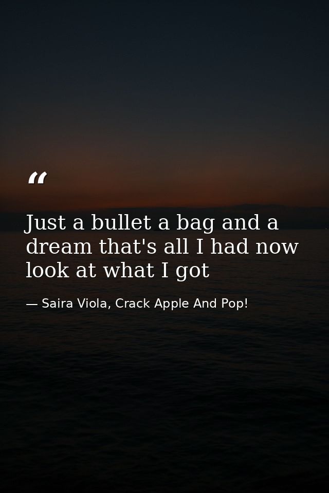 Just a bullet a bag and a dream that's all I had now look at what I got — Saira Viola, Crack Apple And Pop!