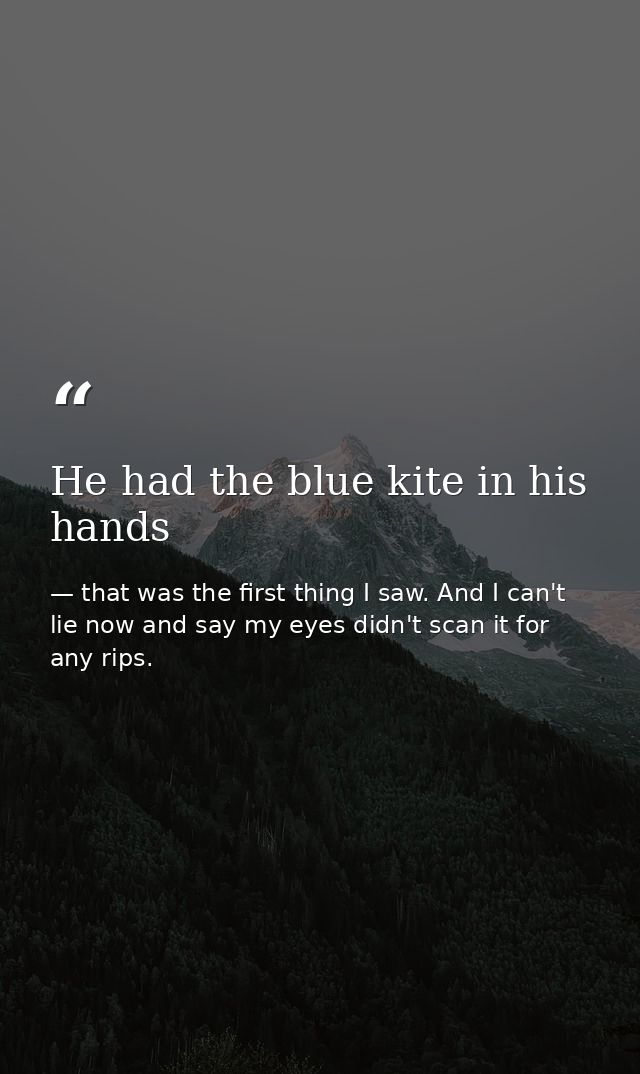 He had the blue kite in his hands — that was the first thing I saw. And I can't lie now and say my eyes didn't scan it for any rips.