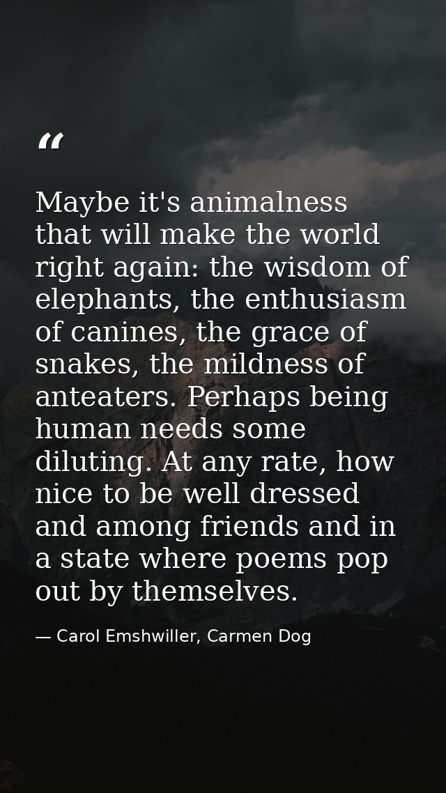 Maybe it's animalness that will make the world right again: the wisdom of elephants, the enthusiasm of canines, the grac — Carol Emshwiller, Carmen Dog