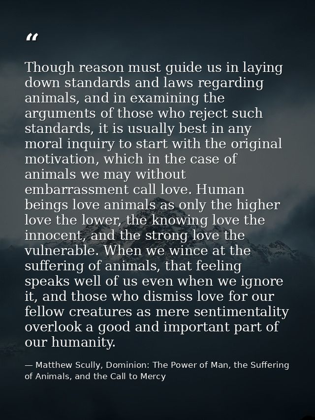 Though reason must guide us in laying down standards and laws regarding animals, and in examining the arguments of those — Matthew Scully, Dominion: The Power of Man, the Suffering of Animals, and the Call to Mercy