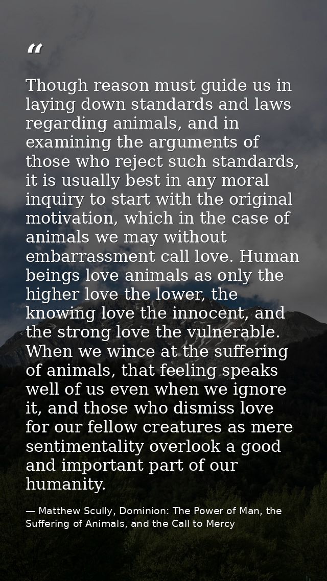 Though reason must guide us in laying down standards and laws regarding animals, and in examining the arguments of those — Matthew Scully, Dominion: The Power of Man, the Suffering of Animals, and the Call to Mercy