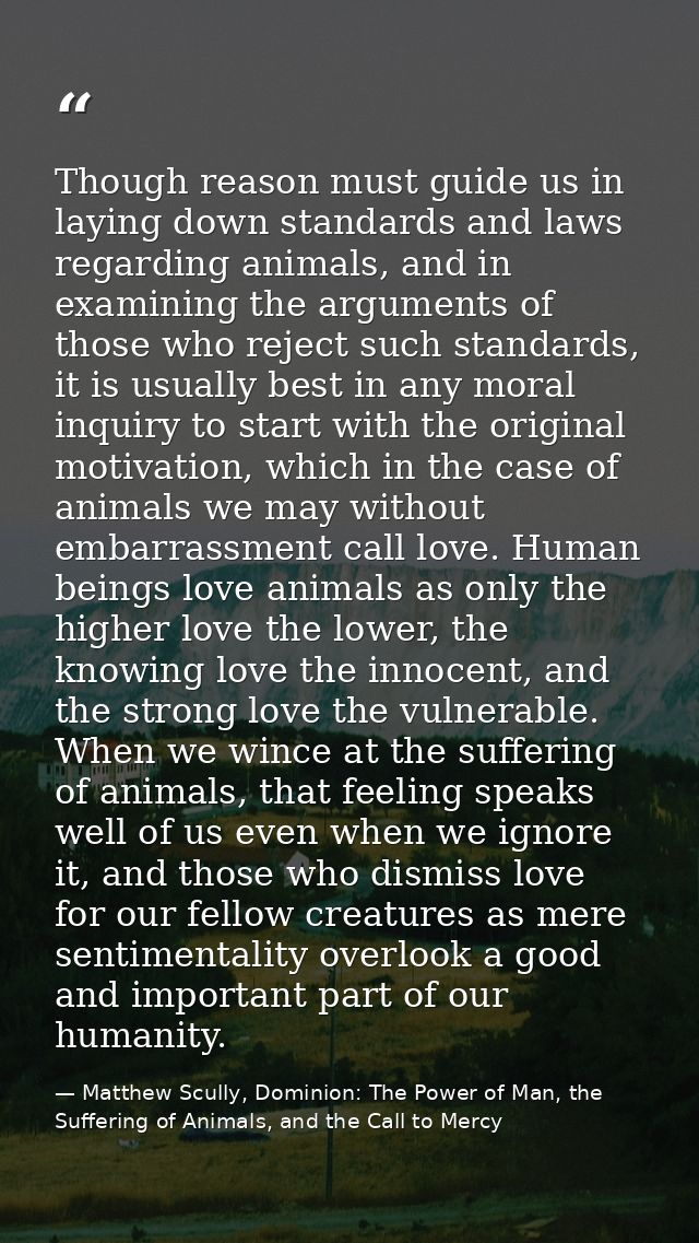 Though reason must guide us in laying down standards and laws regarding animals, and in examining the arguments of those — Matthew Scully, Dominion: The Power of Man, the Suffering of Animals, and the Call to Mercy