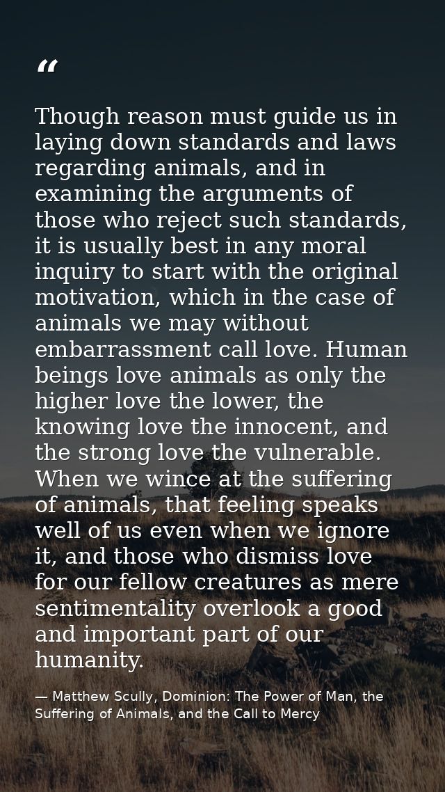 Though reason must guide us in laying down standards and laws regarding animals, and in examining the arguments of those — Matthew Scully, Dominion: The Power of Man, the Suffering of Animals, and the Call to Mercy