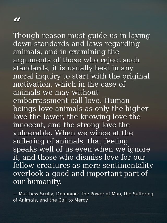 Though reason must guide us in laying down standards and laws regarding animals, and in examining the arguments of those — Matthew Scully, Dominion: The Power of Man, the Suffering of Animals, and the Call to Mercy