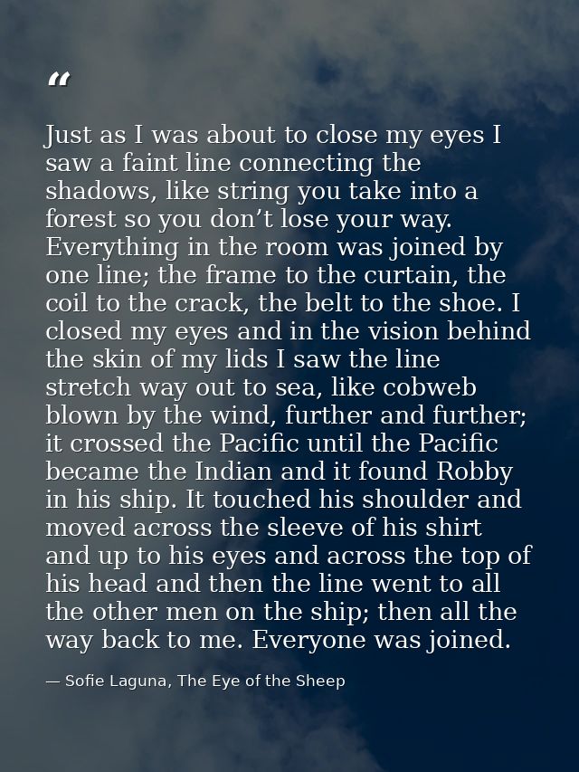 Just as I was about to close my eyes I saw a faint line connecting the shadows, like string you take into a forest so yo — Sofie Laguna, The Eye of the Sheep