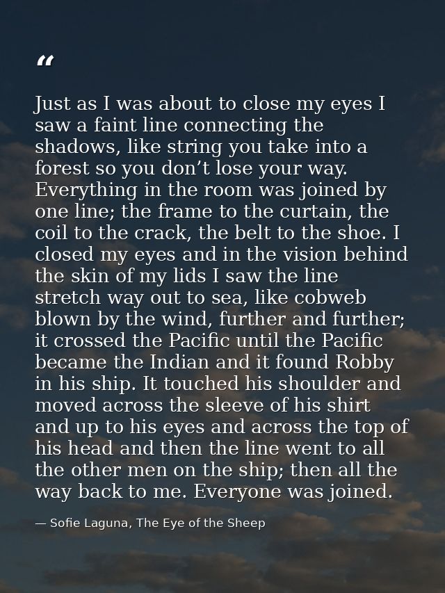 Just as I was about to close my eyes I saw a faint line connecting the shadows, like string you take into a forest so yo — Sofie Laguna, The Eye of the Sheep