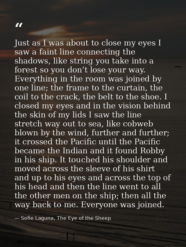 Just as I was about to close my eyes I saw a faint line connecting the shadows, like string you take into a forest so yo — Sofie Laguna, The Eye of the Sheep
