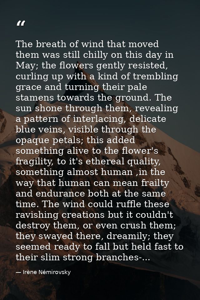 The breath of wind that moved them was still chilly on this day in May; the flowers gently resisted, curling up with a k — Irène Némirovsky