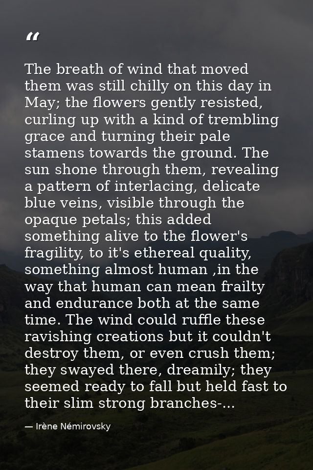 The breath of wind that moved them was still chilly on this day in May; the flowers gently resisted, curling up with a k — Irène Némirovsky