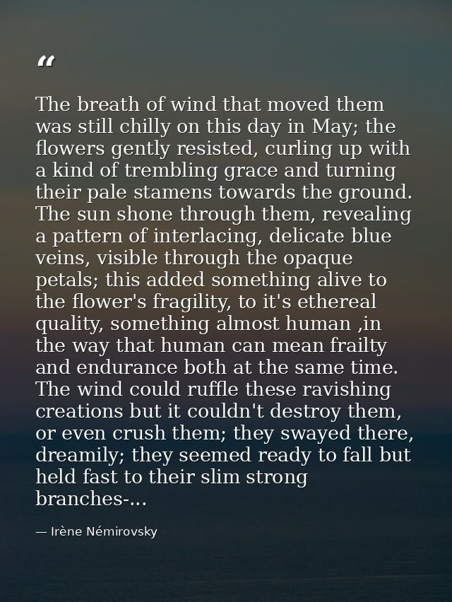 The breath of wind that moved them was still chilly on this day in May; the flowers gently resisted, curling up with a k — Irène Némirovsky