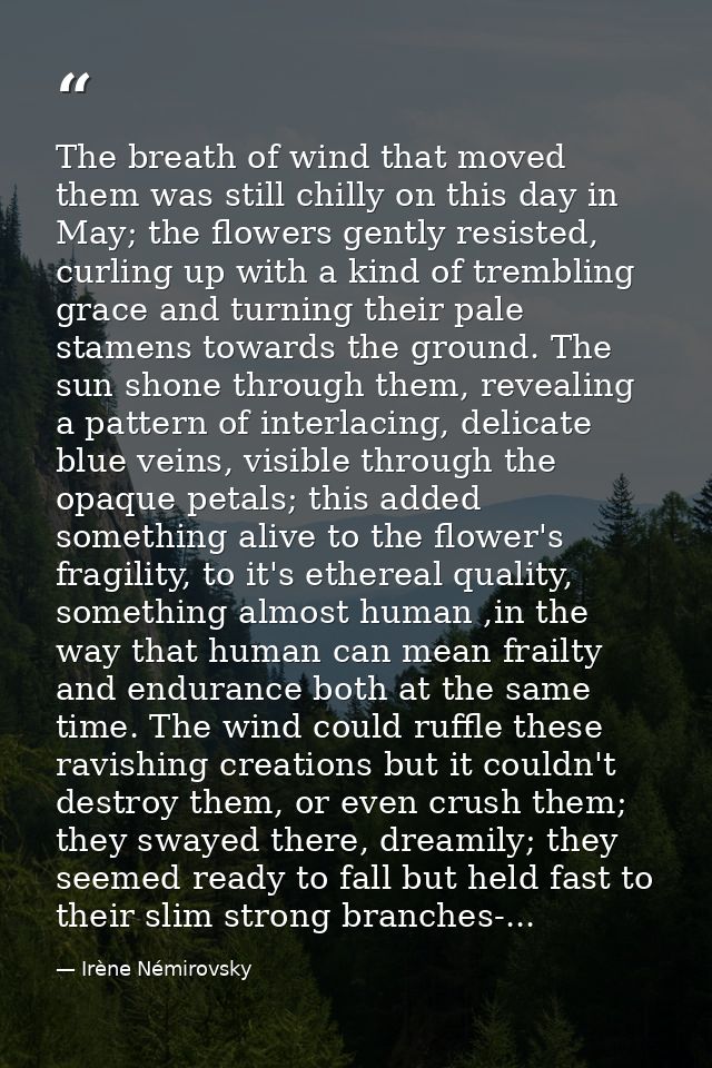 The breath of wind that moved them was still chilly on this day in May; the flowers gently resisted, curling up with a k — Irène Némirovsky