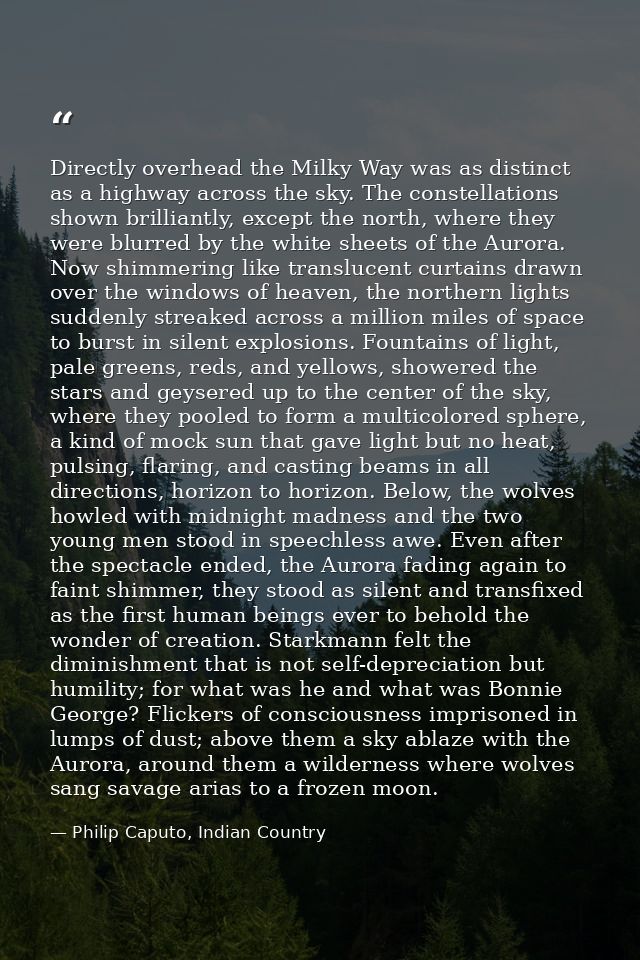 Directly overhead the Milky Way was as distinct as a highway across the sky. The constellations shown brilliantly, excep — Philip Caputo, Indian Country