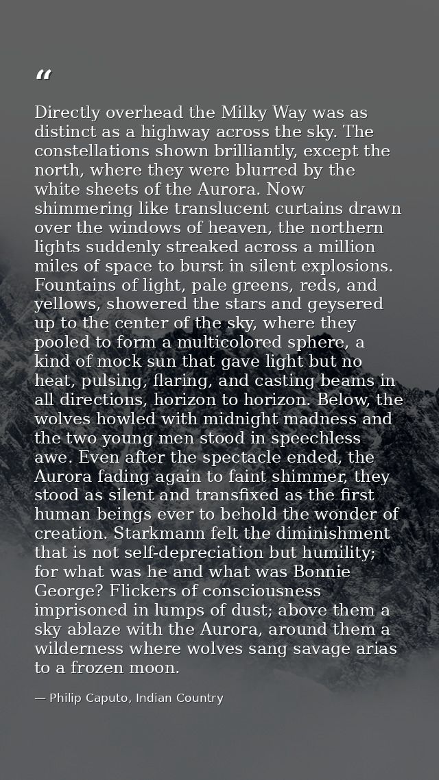 Directly overhead the Milky Way was as distinct as a highway across the sky. The constellations shown brilliantly, excep — Philip Caputo, Indian Country