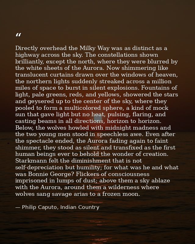 Directly overhead the Milky Way was as distinct as a highway across the sky. The constellations shown brilliantly, excep — Philip Caputo, Indian Country