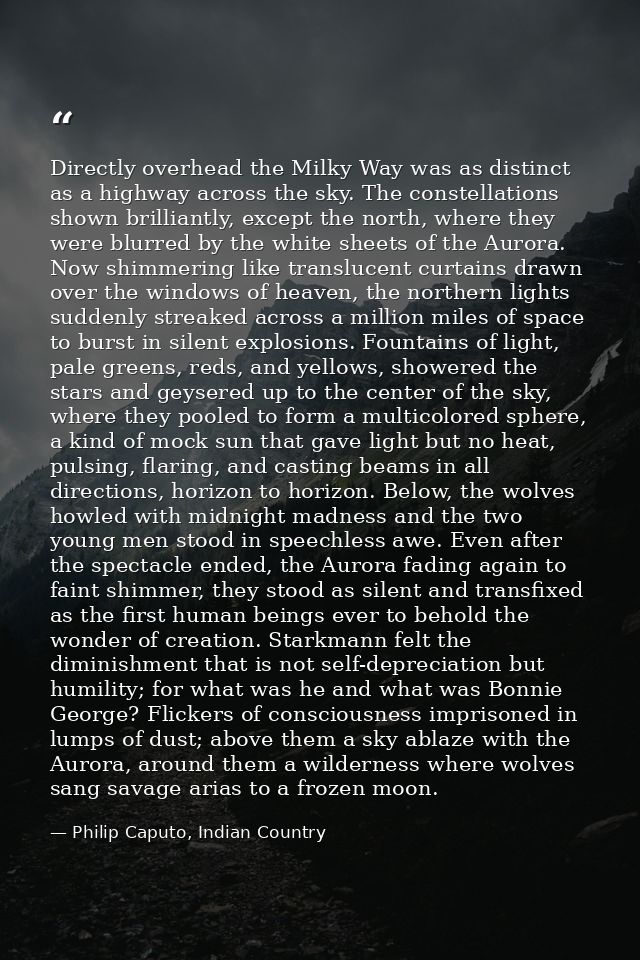 Directly overhead the Milky Way was as distinct as a highway across the sky. The constellations shown brilliantly, excep — Philip Caputo, Indian Country