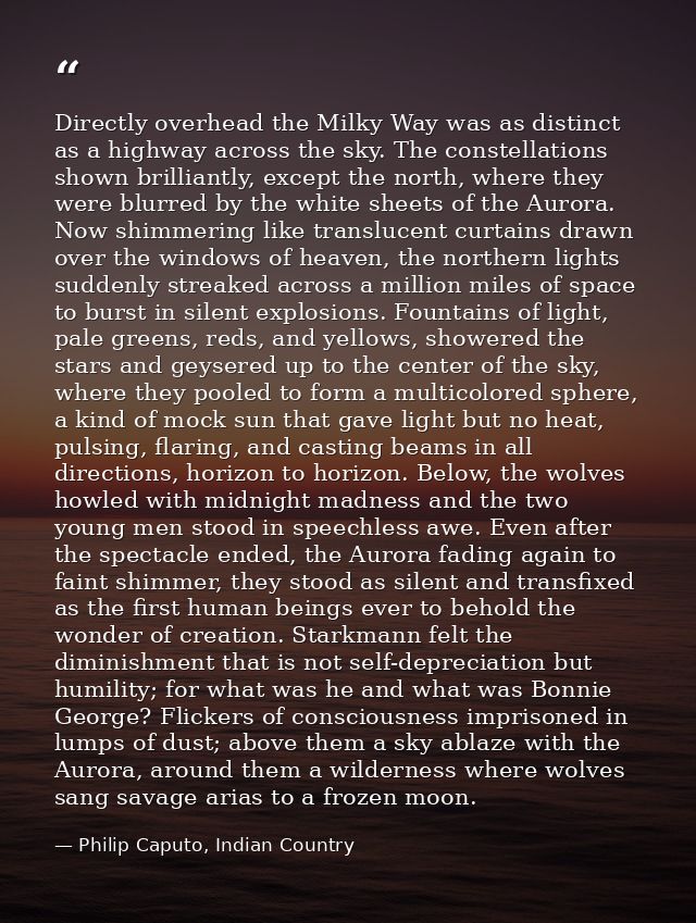 Directly overhead the Milky Way was as distinct as a highway across the sky. The constellations shown brilliantly, excep — Philip Caputo, Indian Country
