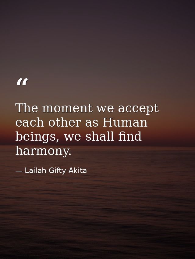 The moment we accept each other as Human beings, we shall find harmony. — Lailah Gifty Akita