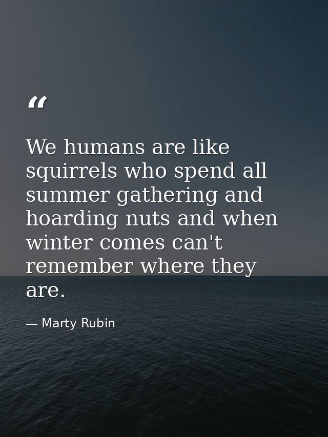 We humans are like squirrels who spend all summer gathering and hoarding nuts and when winter comes can't remember where — Marty Rubin