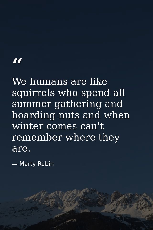 We humans are like squirrels who spend all summer gathering and hoarding nuts and when winter comes can't remember where — Marty Rubin