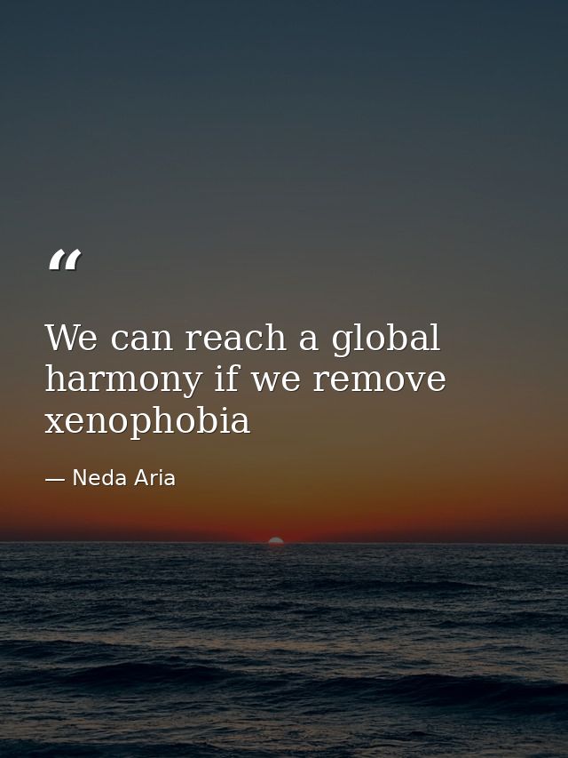 We can reach a global harmony if we remove xenophobia — Neda Aria