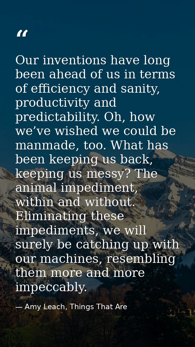 Our inventions have long been ahead of us in terms of efficiency and sanity, productivity and predictability. Oh, how we — Amy Leach, Things That Are