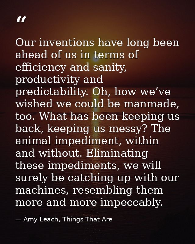 Our inventions have long been ahead of us in terms of efficiency and sanity, productivity and predictability. Oh, how we — Amy Leach, Things That Are