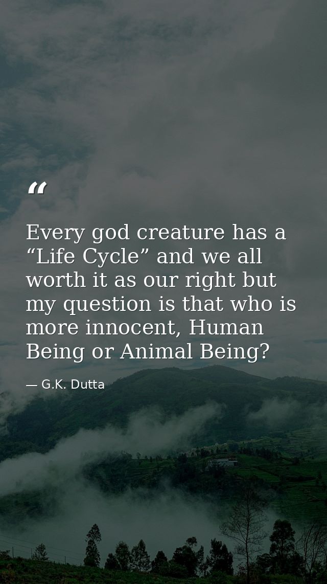 Every god creature has a “Life Cycle” and we all worth it as our right but my question is that who is more innocent, Hum — G.K. Dutta