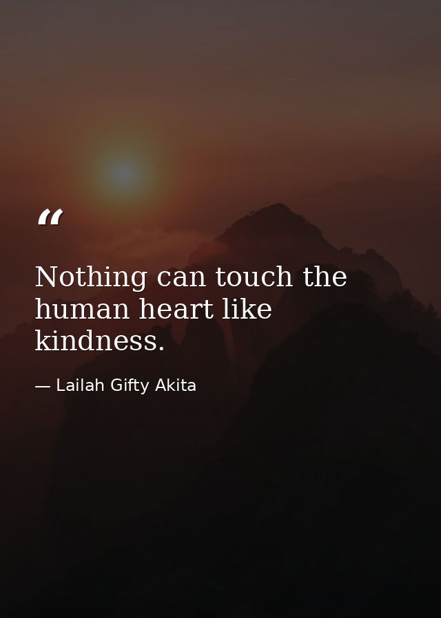 Nothing can touch the human heart like kindness. — Lailah Gifty Akita