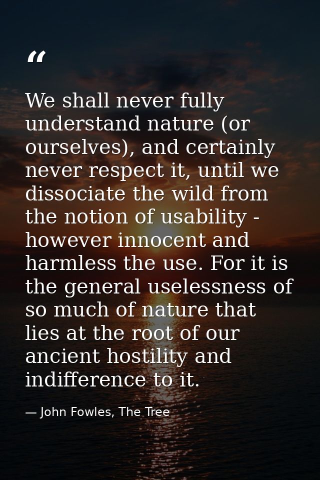 We shall never fully understand nature (or ourselves), and certainly never respect it, until we dissociate the wild from — John Fowles, The Tree