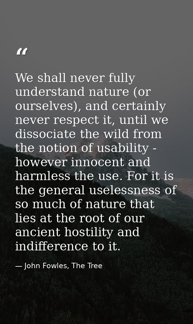 We shall never fully understand nature (or ourselves), and certainly never respect it, until we dissociate the wild from — John Fowles, The Tree