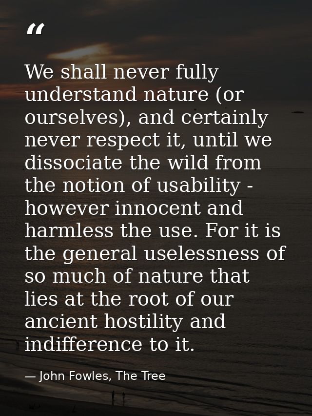 We shall never fully understand nature (or ourselves), and certainly never respect it, until we dissociate the wild from — John Fowles, The Tree