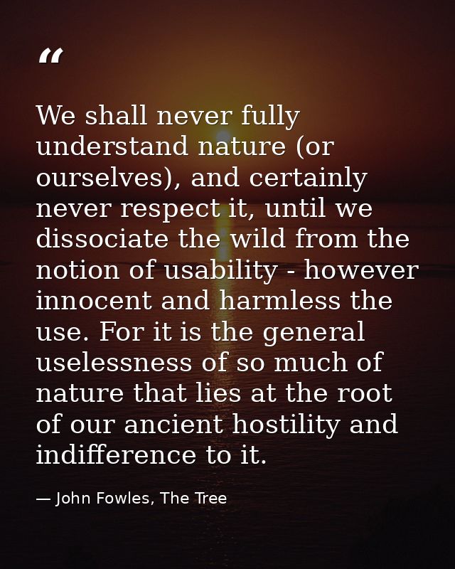 We shall never fully understand nature (or ourselves), and certainly never respect it, until we dissociate the wild from — John Fowles, The Tree