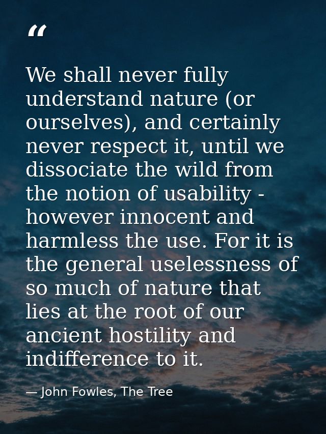 We shall never fully understand nature (or ourselves), and certainly never respect it, until we dissociate the wild from — John Fowles, The Tree