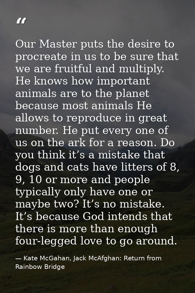 Our Master puts the desire to procreate in us to be sure that we are fruitful and multiply. He knows how important anima — Kate McGahan, Jack McAfghan: Return from Rainbow Bridge