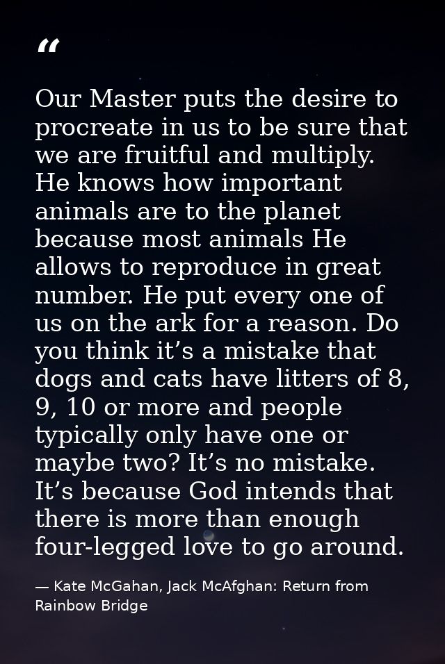 Our Master puts the desire to procreate in us to be sure that we are fruitful and multiply. He knows how important anima — Kate McGahan, Jack McAfghan: Return from Rainbow Bridge